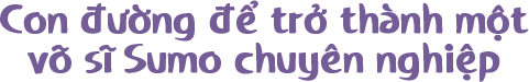 Con đường để trở thành một võ sĩ Sumo chuyên nghiệp